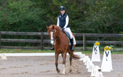 TSDS Schooling Show IV