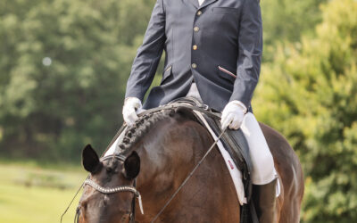 TSDS Schooling Show II