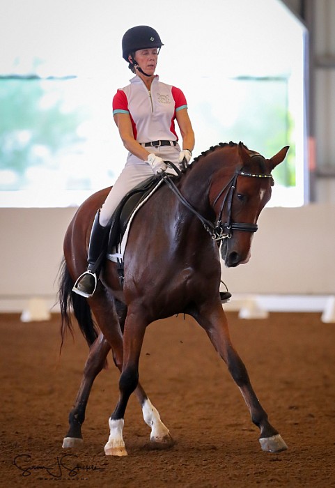 Mary Mahler Dressage Clinic