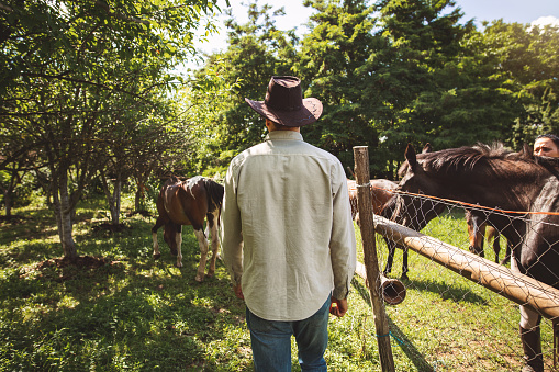 Handsome horse breeder on a ranch