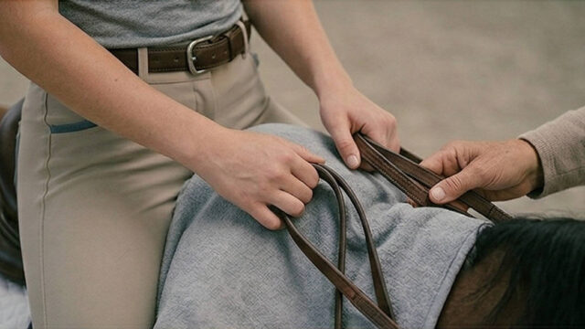 Gemini_Generated_Image_53454