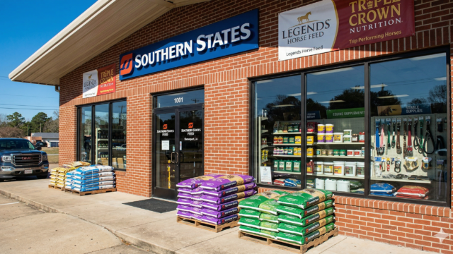 Gemini_Generated_Image_v4ztzcv4ztzcv4zt