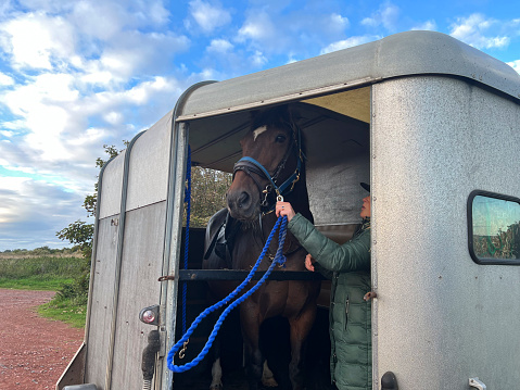 Transporting with a Horse Trailer