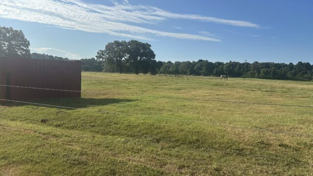 Matthews-Thoroughbred-Farm